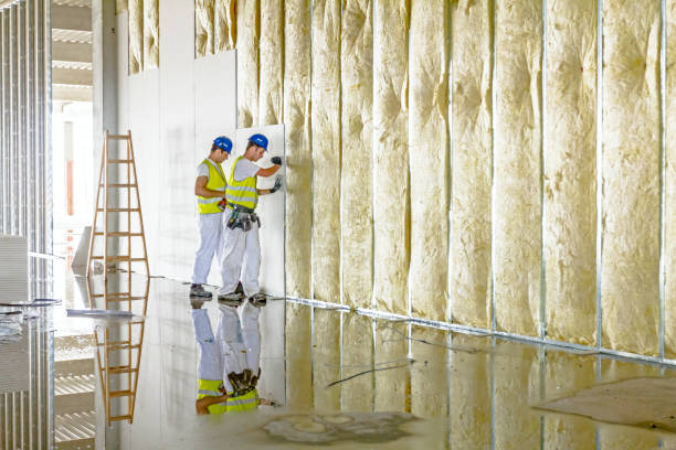 Best Types of Insulation in Boulevard Park, WA